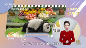 久草网站在线